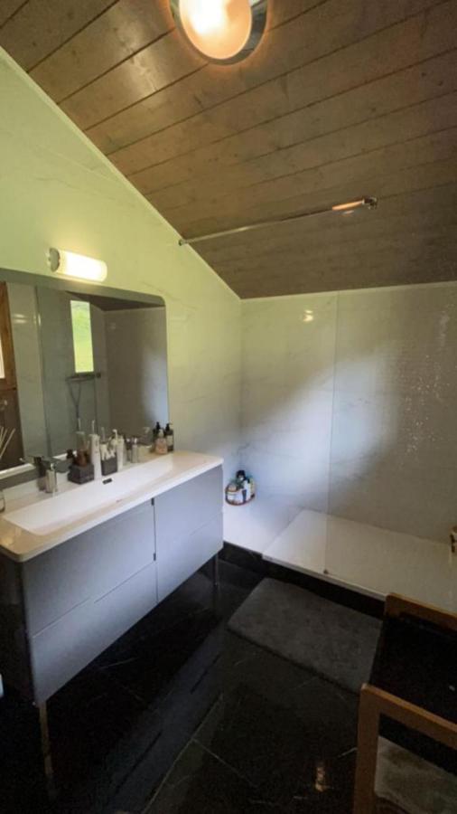 Chalet Luxueux Chatel Bagian luar foto